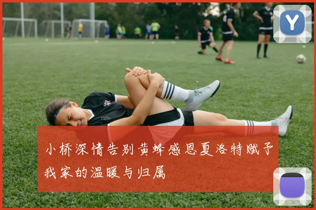 小桥深情告别黄蜂感恩夏洛特赋予我家的温暖与归属